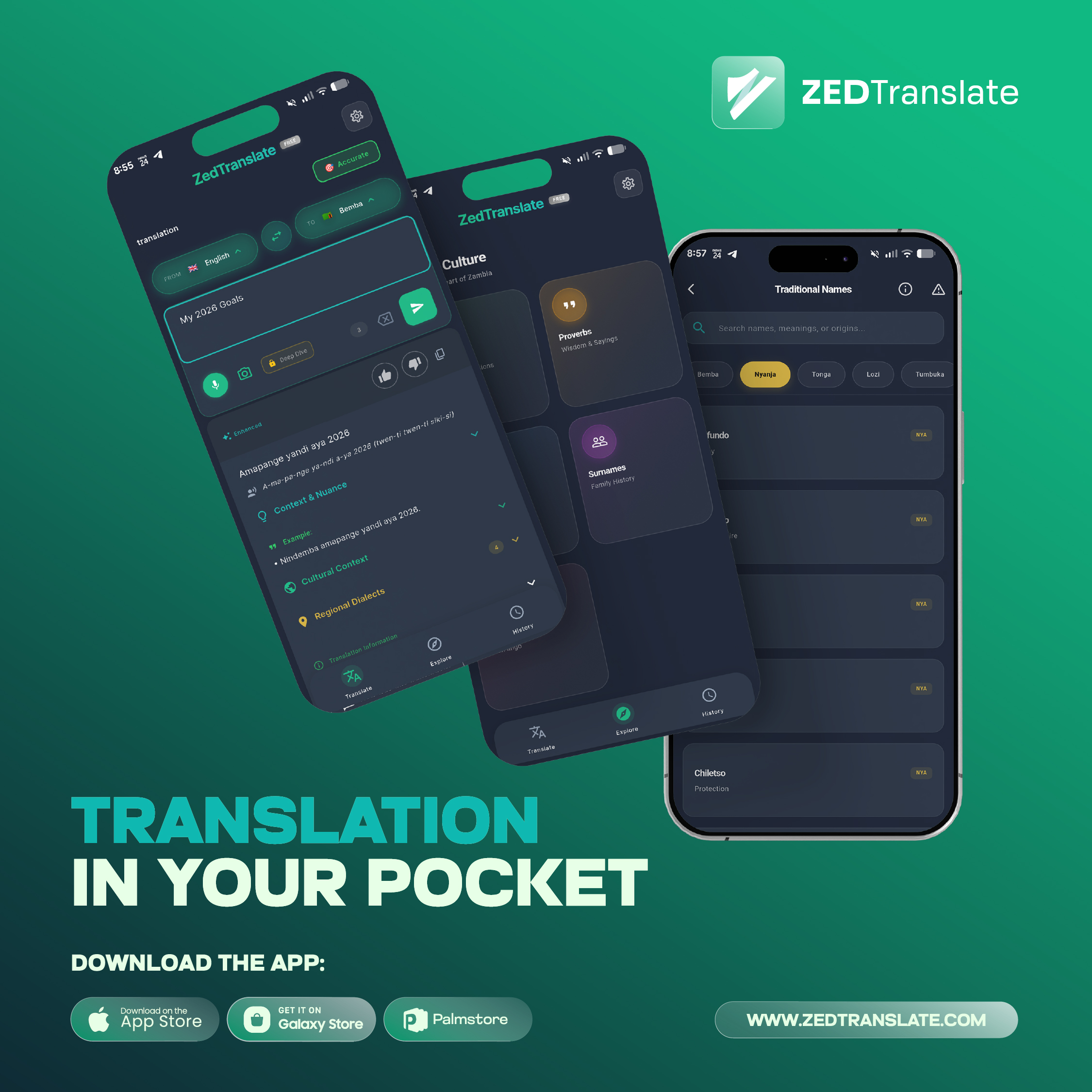 ZedTranslate mobile translation interface